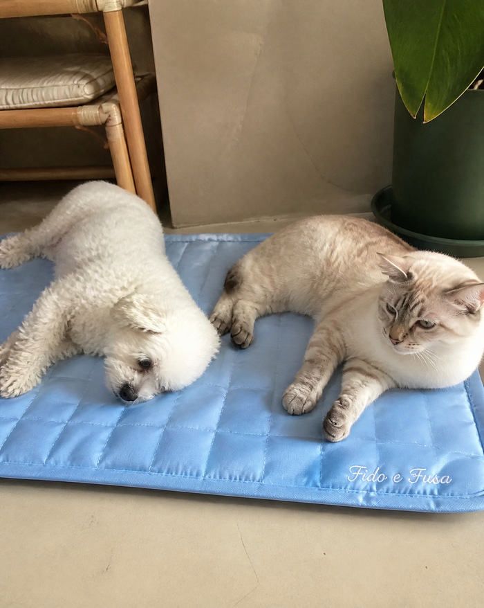 Ideale per gatti