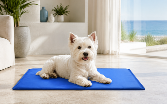 FidoFresco tappetino rinfrescante gel blu per cani su parquet