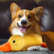 Peluche Antistress per Cani — Compagno di FidoRelax™