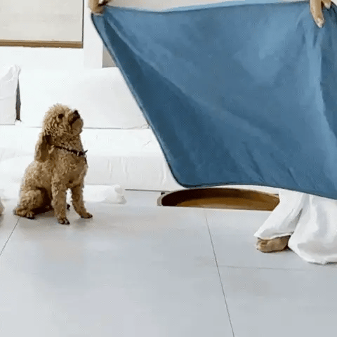 FidoFresco in uso