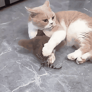 Uccellino interattivo per gatti